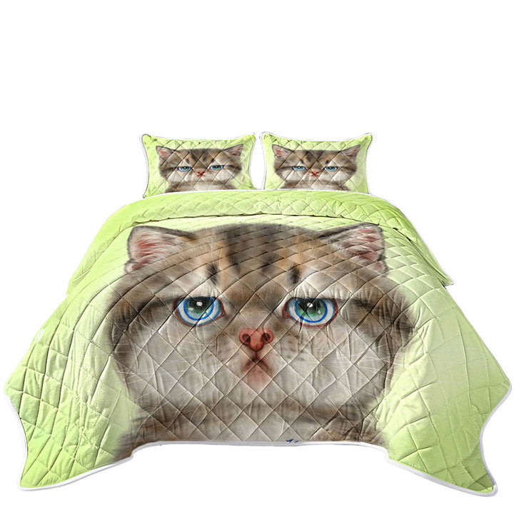 Adorable Cats Displeased Puffy Kitten Quilts