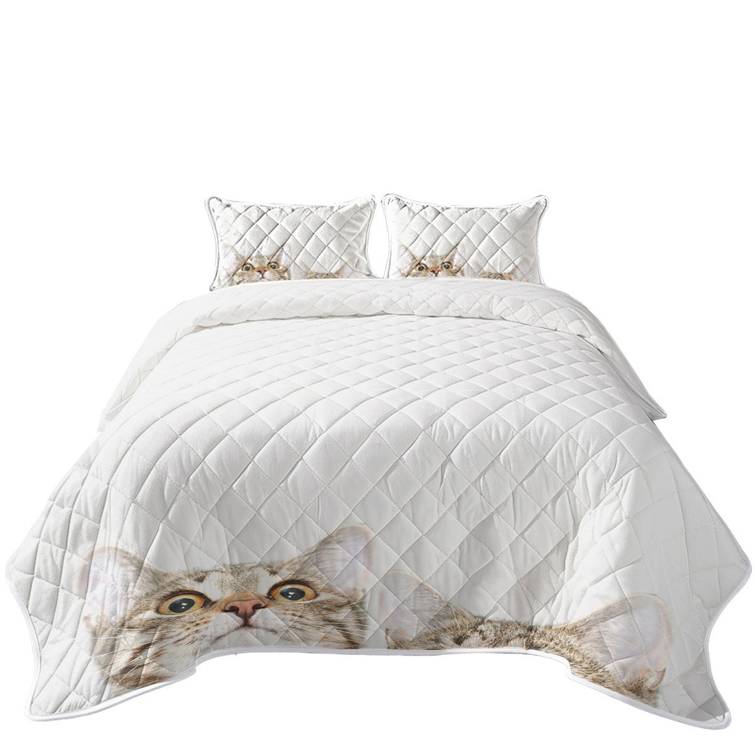Adorable Peeking Cats Coverlet