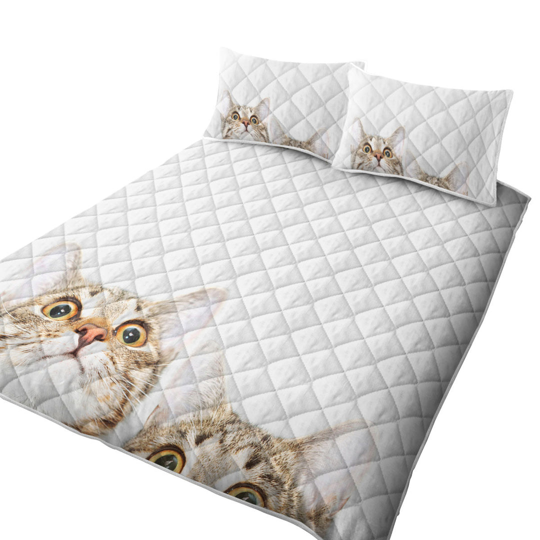 Adorable Peeking Cats Quilts