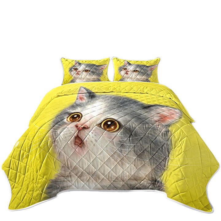 Adorable Staring Grey Kitty Cat Coverlets