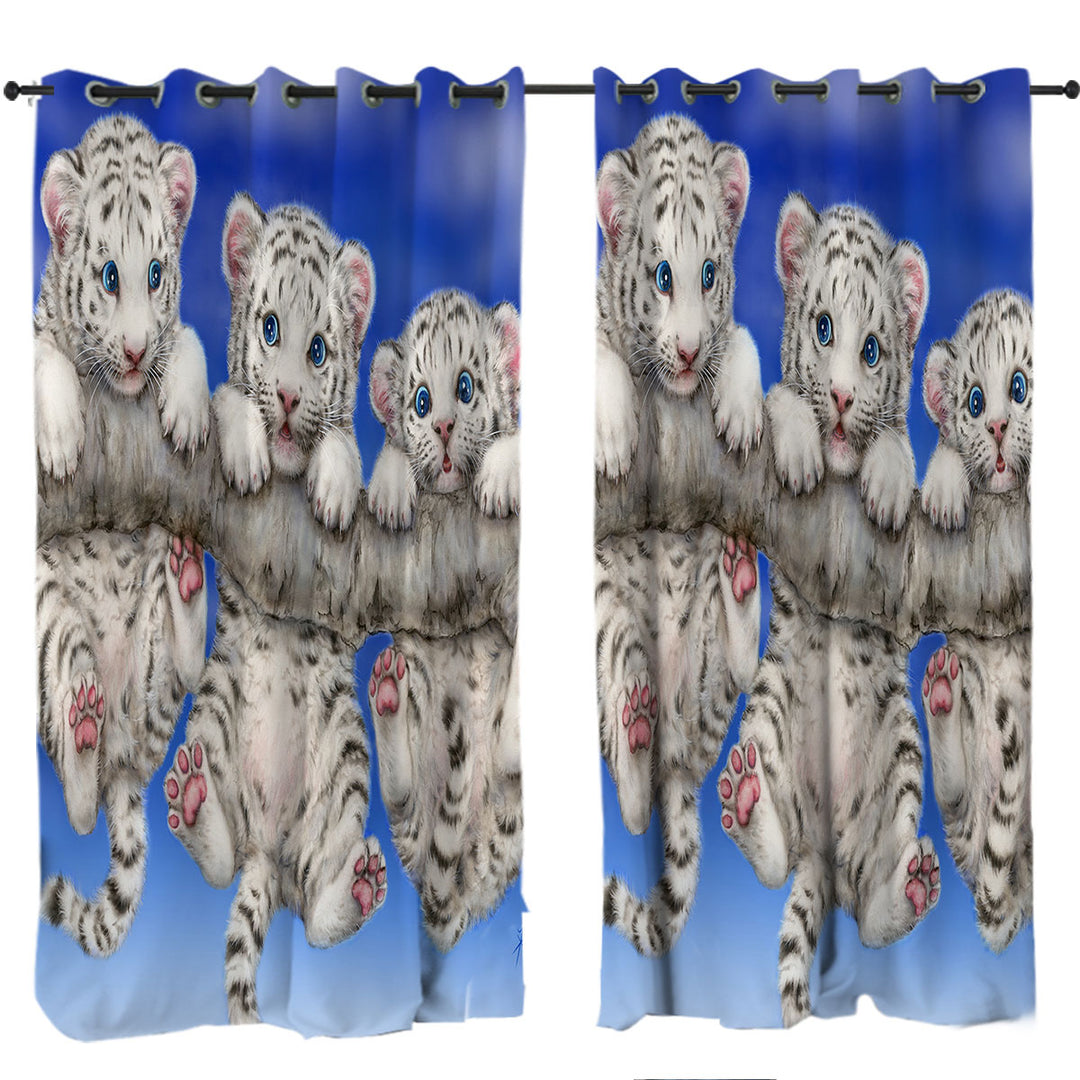 Adorable White Tiger Triplets Cubs Drapes