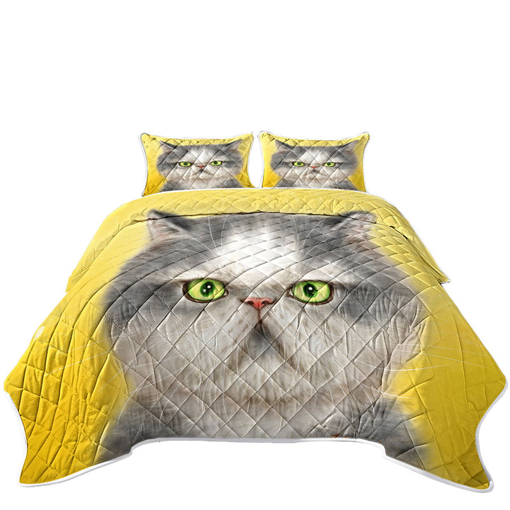 Angry Grey Kitten Cats Art Drawings Quilt Shop Near Me