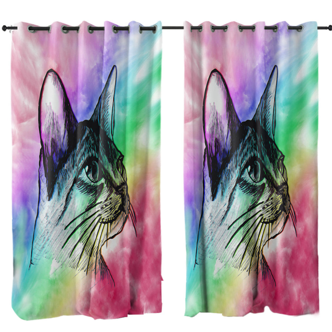 Art Cat Drawing over Colorful Fog Curtains