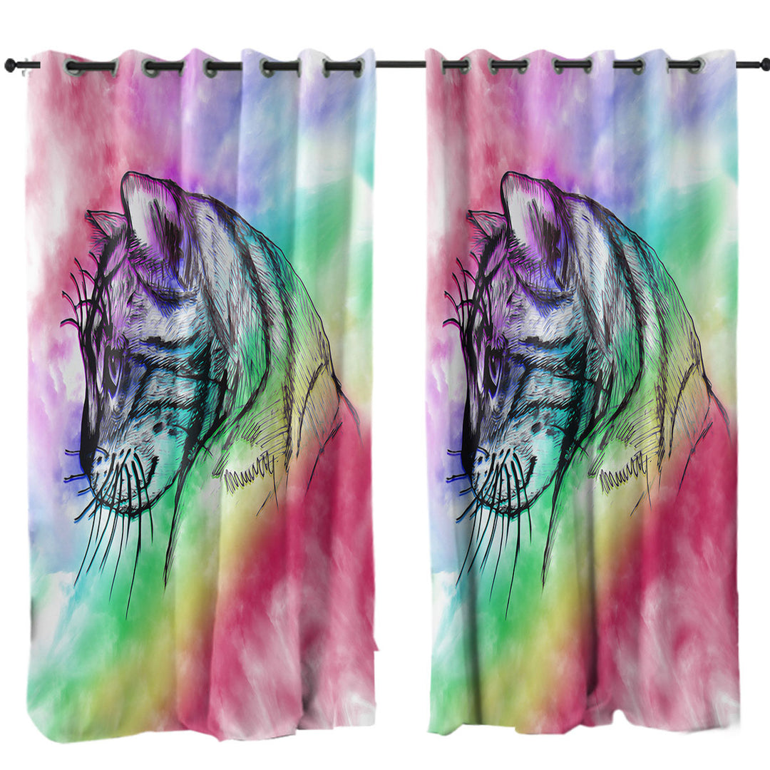 Art Cat Drawing over Rainbow Fog Curtain
