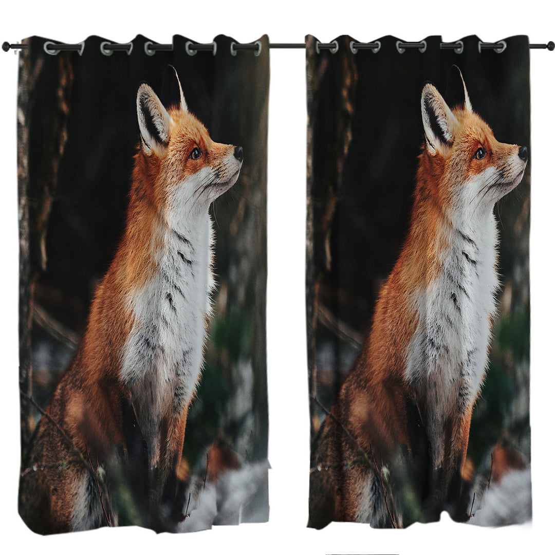 Beautiful Fox Curtains for Living Room