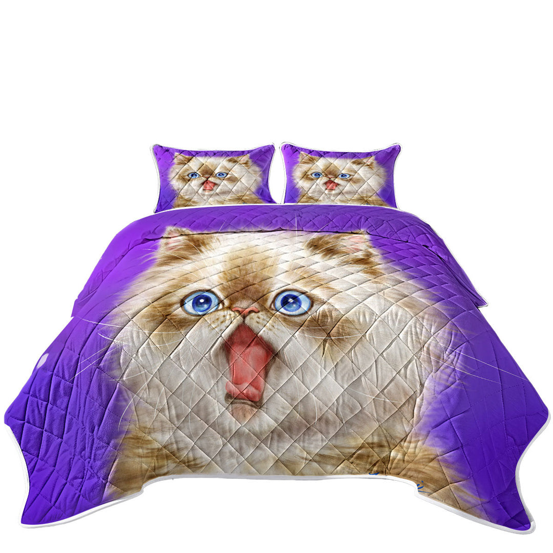 Beautiful Kitten in Shock over Purple Coverlet