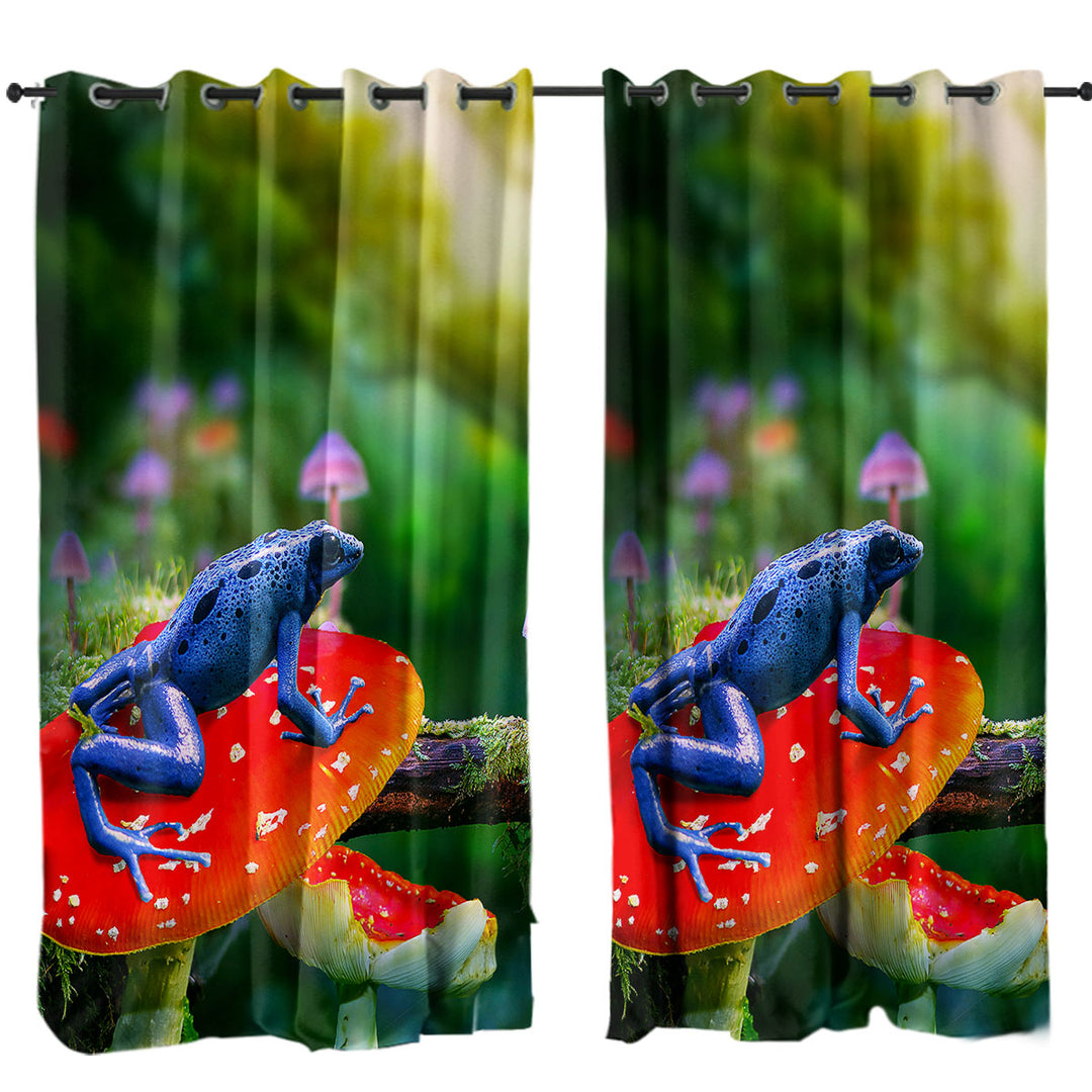 Beautiful Nature Frog on Mushroom Curtains for Bedroom