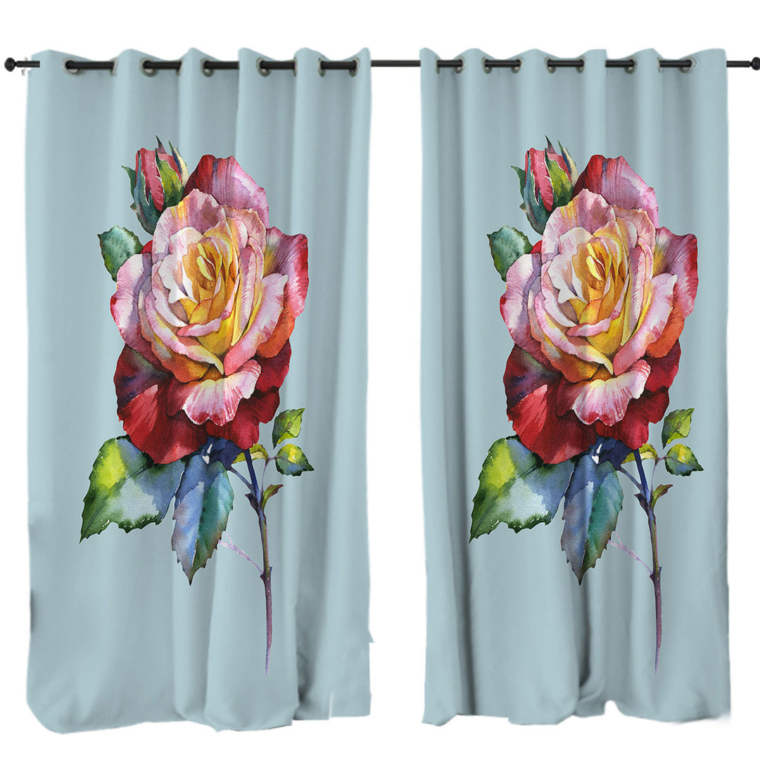 Beautiful Single Rose Painting Curtain