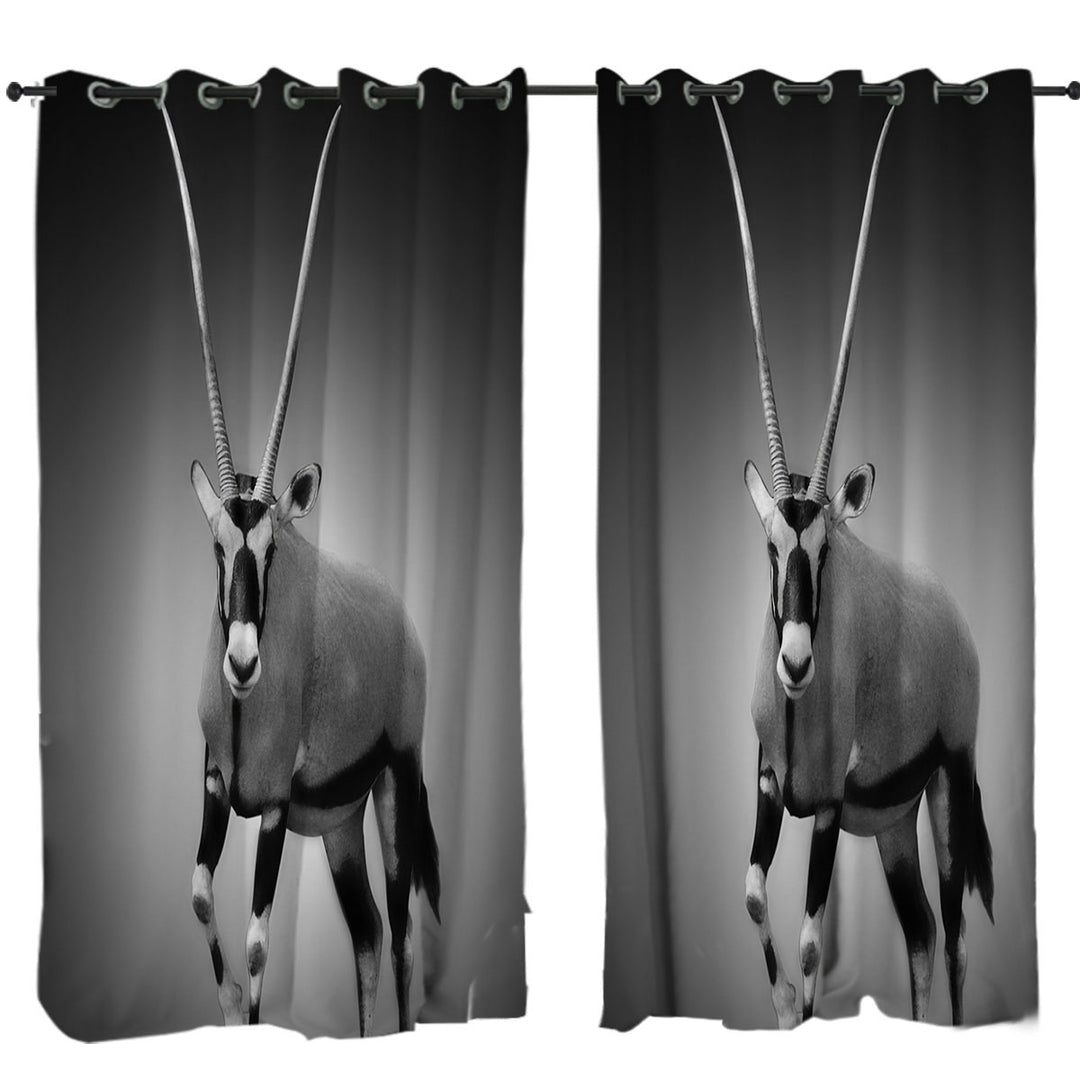 Black and White Wild Antelope Window Curtains