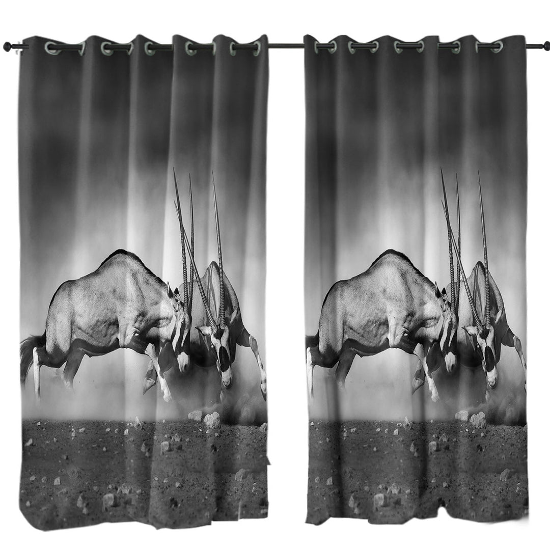 Black and White Wild Antelopes Drapes
