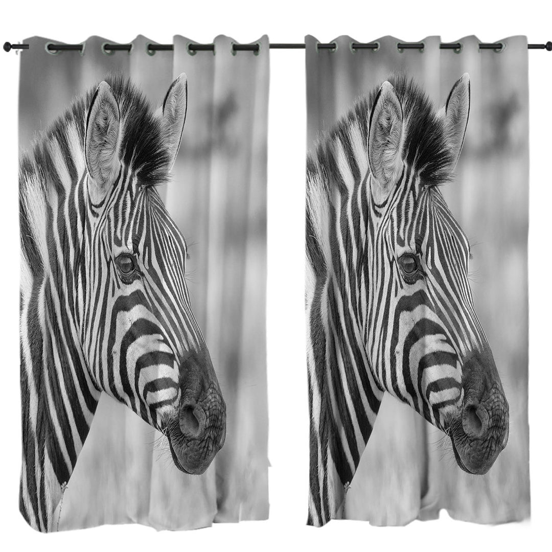 Black and White Zebra Photo Curtain