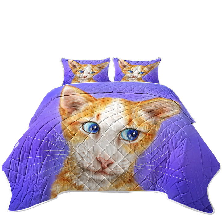 Blue Eyes Ginger Kitten Cats Art Drawings Quilt Stores Near Me