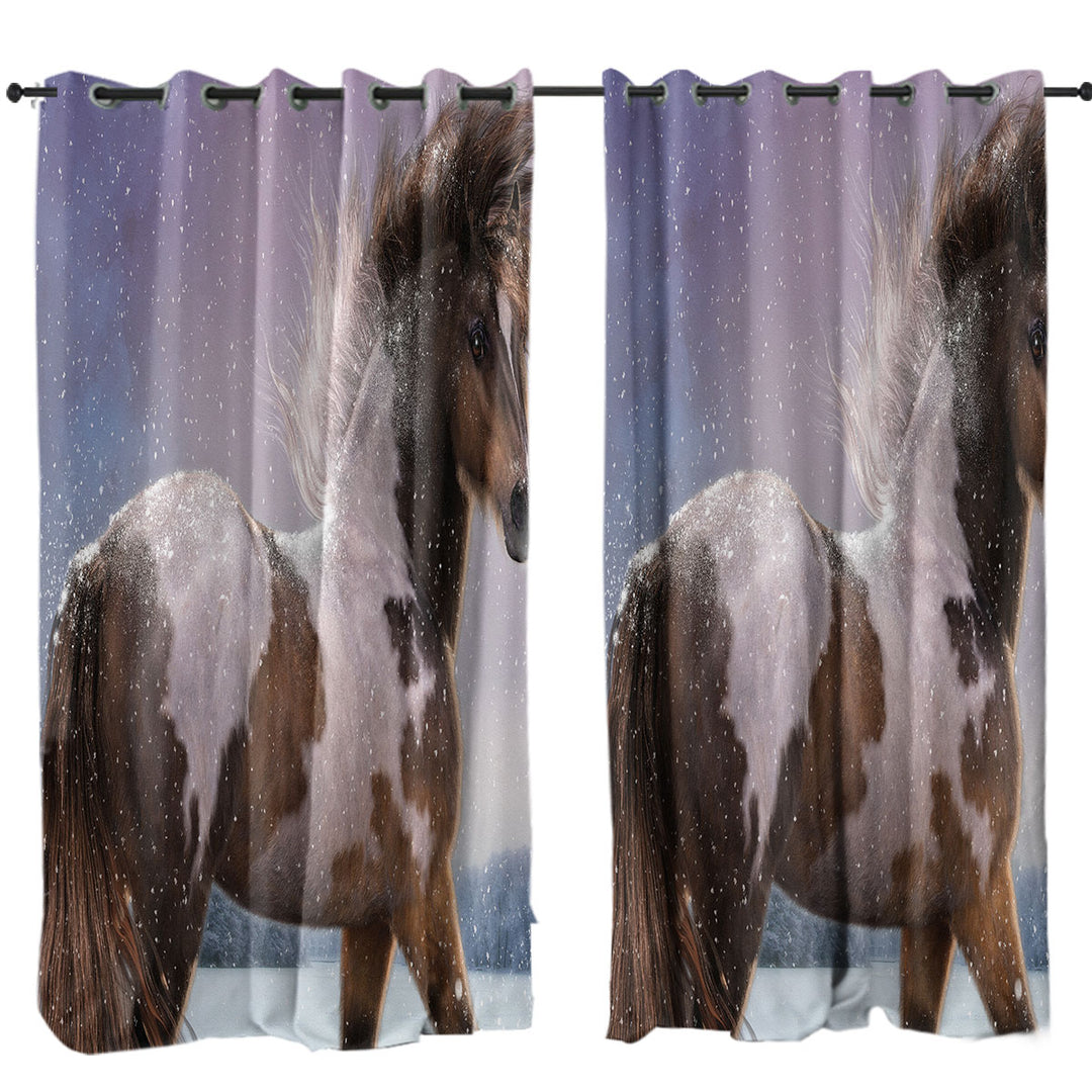 Brown White Pinto Horse the Winters Heart Drapes and Curtains