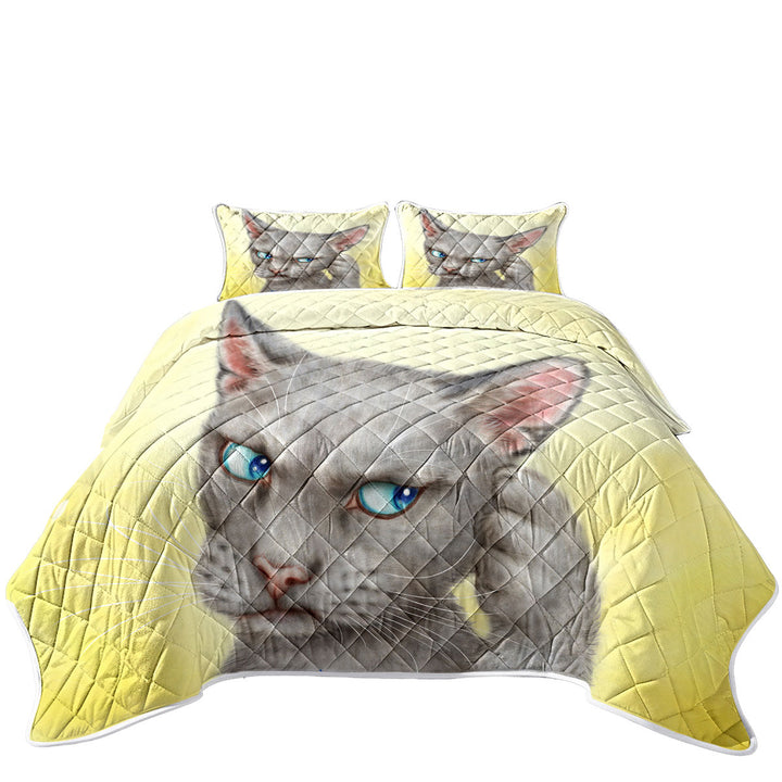 California King Quilt Sets with Blue Eyes Grey Kitty Cat Over Yellow