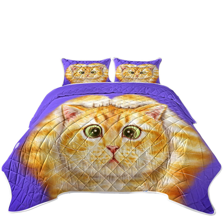 California King Quilt Sets with Funny Cats Drawings Cute Ginger Kitty