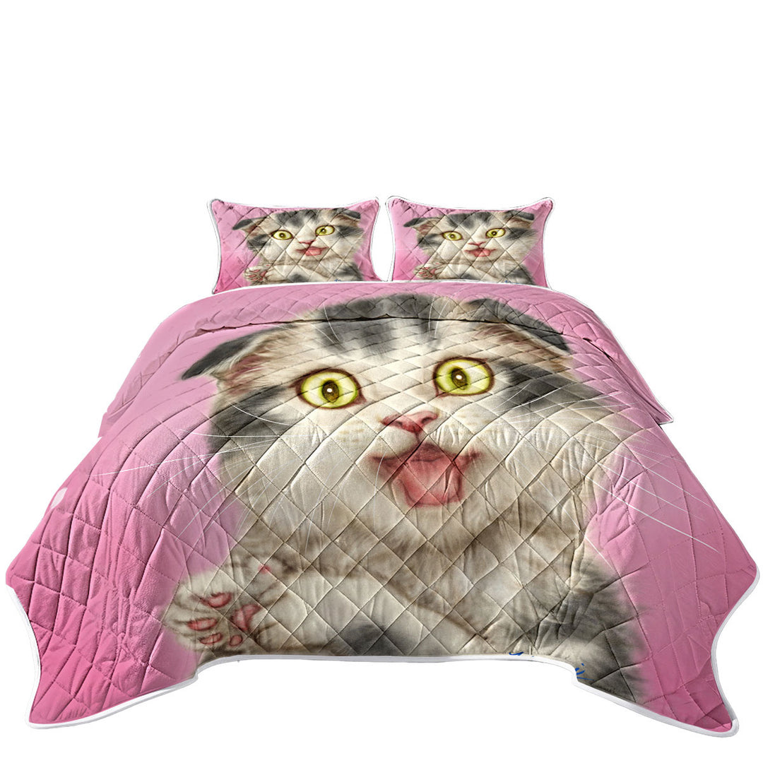 California King Quilt Sets with Kittens Cute Drawings Grey Scottish Fold Cat