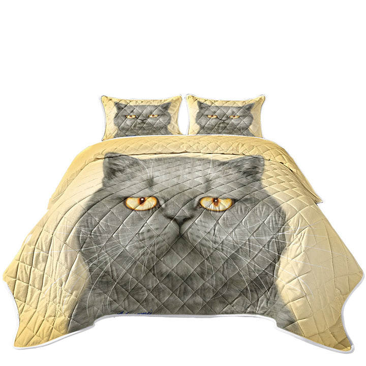 Cats Art Paintings Yellow Eye Cranky Grey Cat Quilt