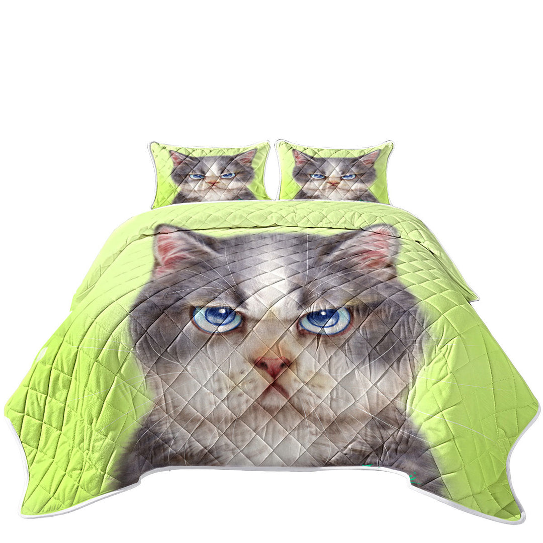 Cats Cute Drawings the Angry Grey Kitten King Size Quilt Sets