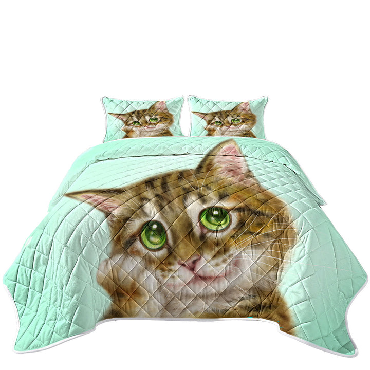 Cats Cute Drawings the Charming Tabby Kitten California King Quilt Sets
