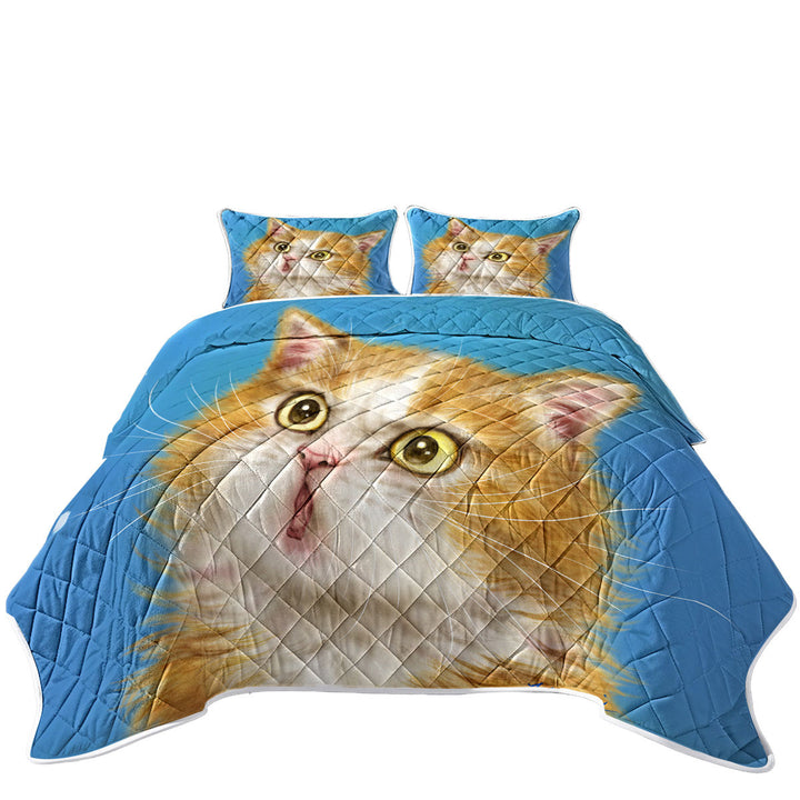 Cats Cute Faces Drawings Wondering Ginger Kitten King Quilt