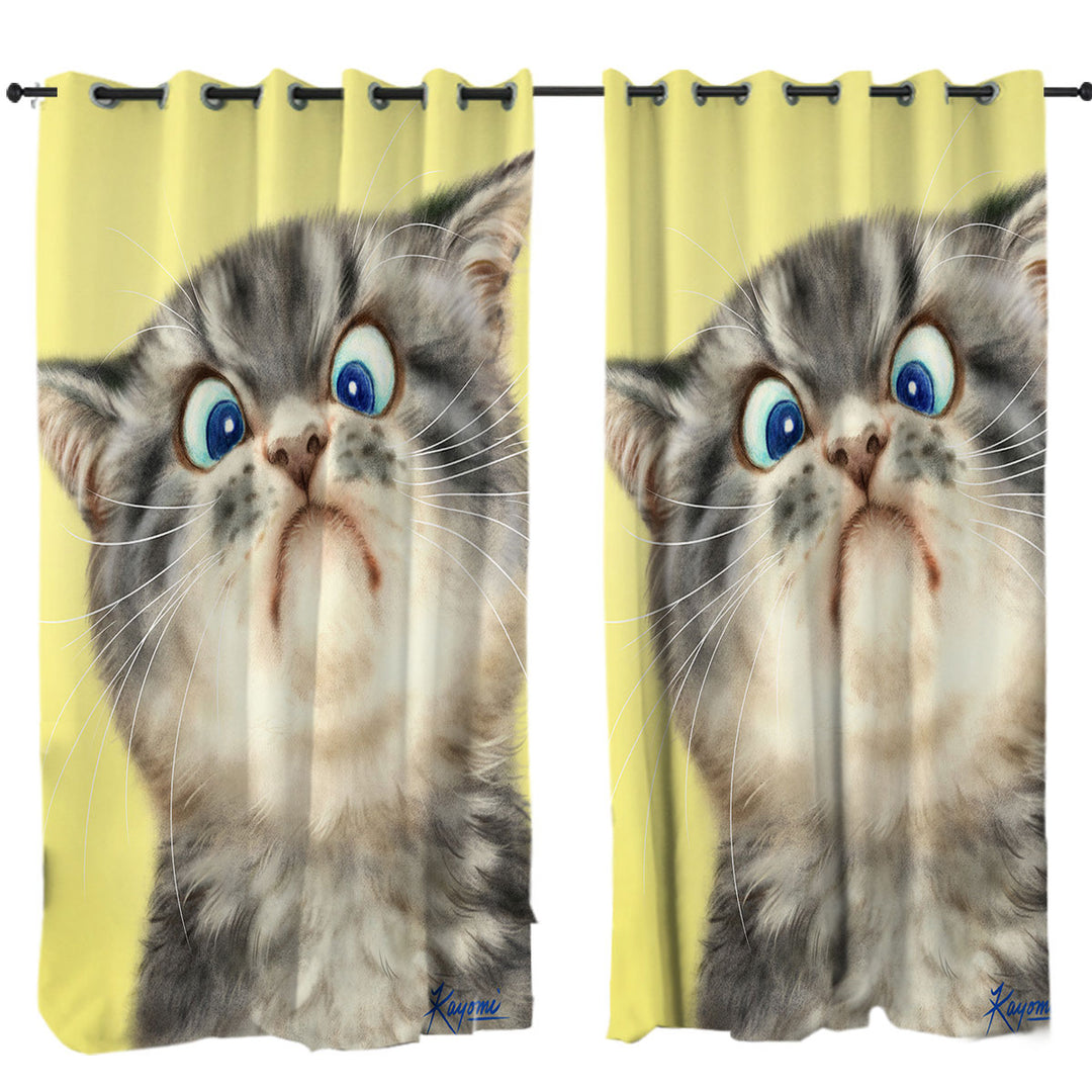 Cats Cute and Funny Faces Unhappy Grey Kitten Curtains