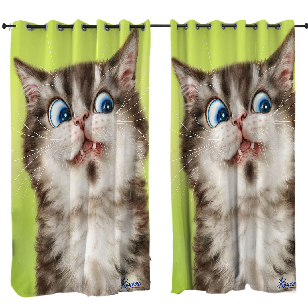 Cats Cute and Funny Faces the Flinching Kitten Drapery