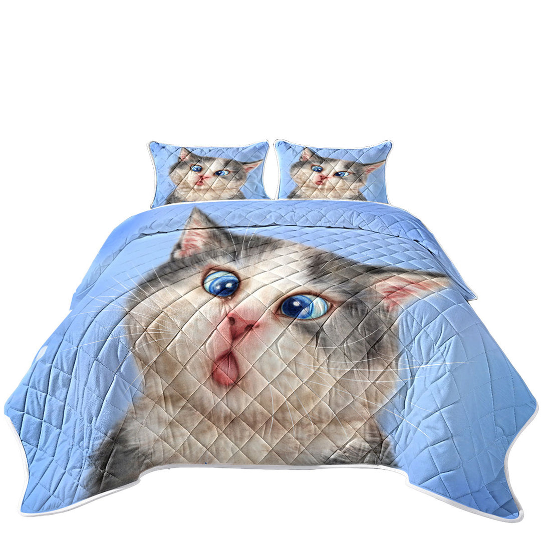 Cats Funny Faces Drawings Blue Eyes Grey Kitten Coverlets