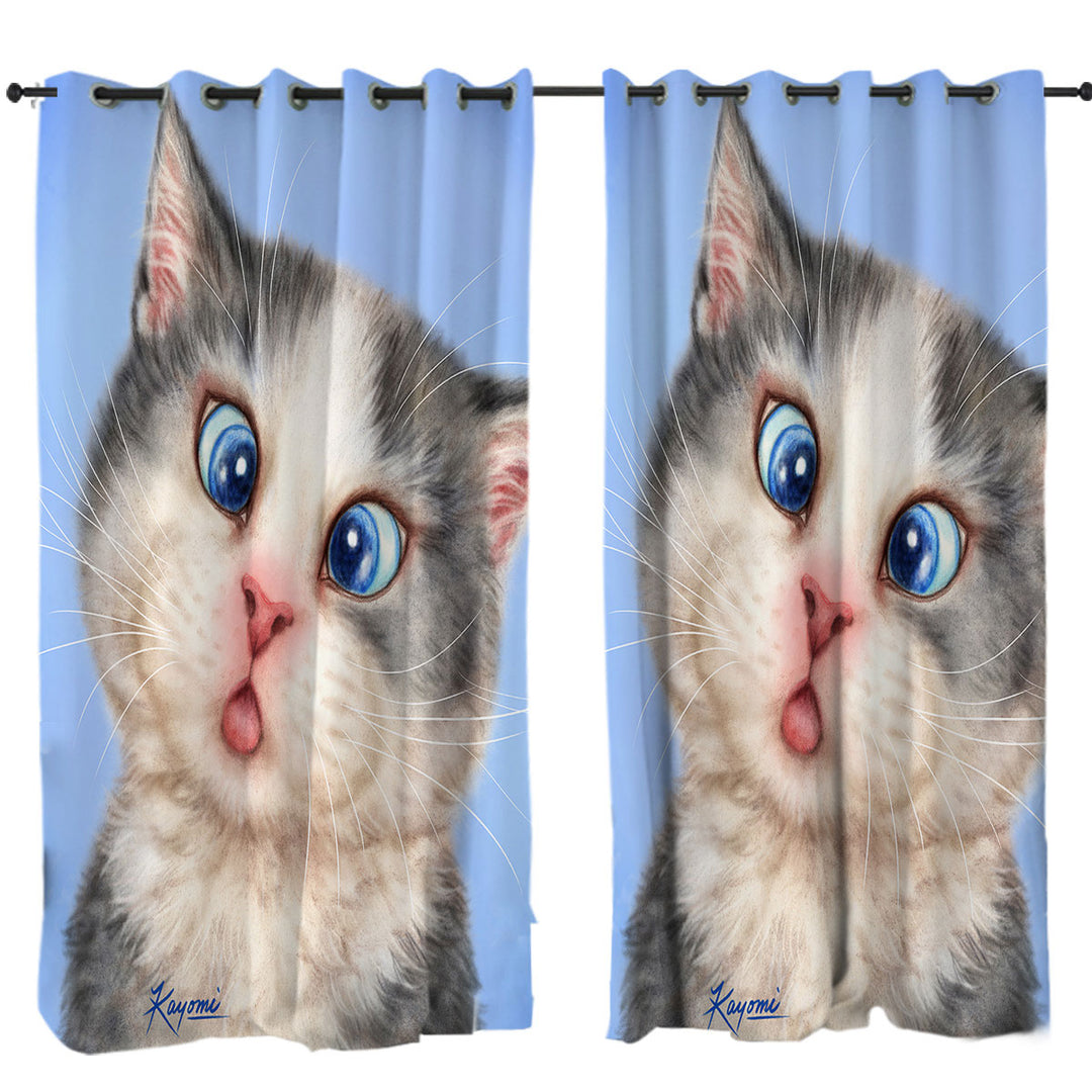 Cats Funny Faces Drawings Blue Eyes Grey Kitten Drapery