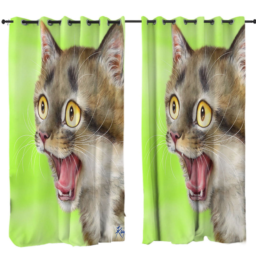 Cats Funny Faces Drawings Excited Tabby Kitty Drapery