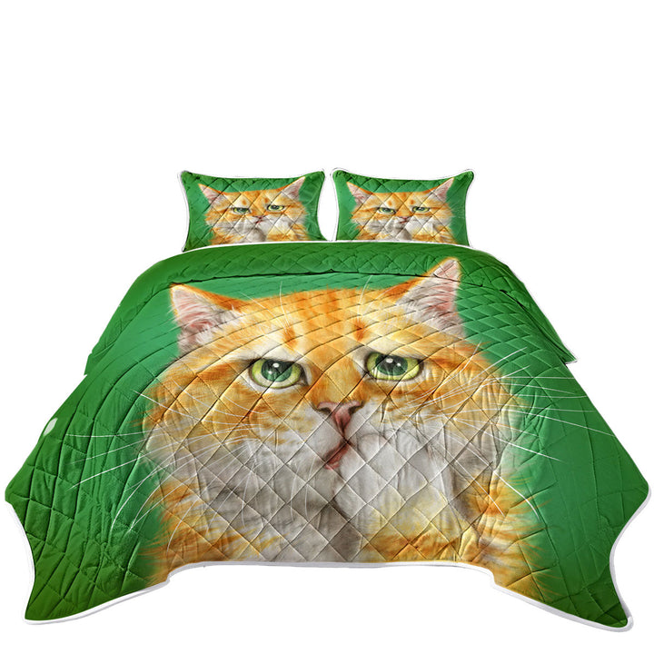 Cats Funny Faces Drawings a Concerned Ginger Quilt