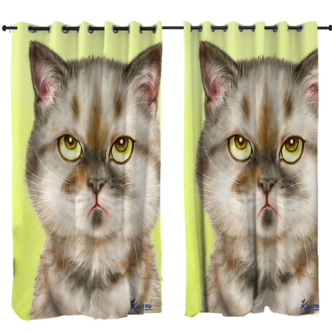 Cats Funny Faces Unsatisfied Brown Tabby Kitten Curtains for Bedroom