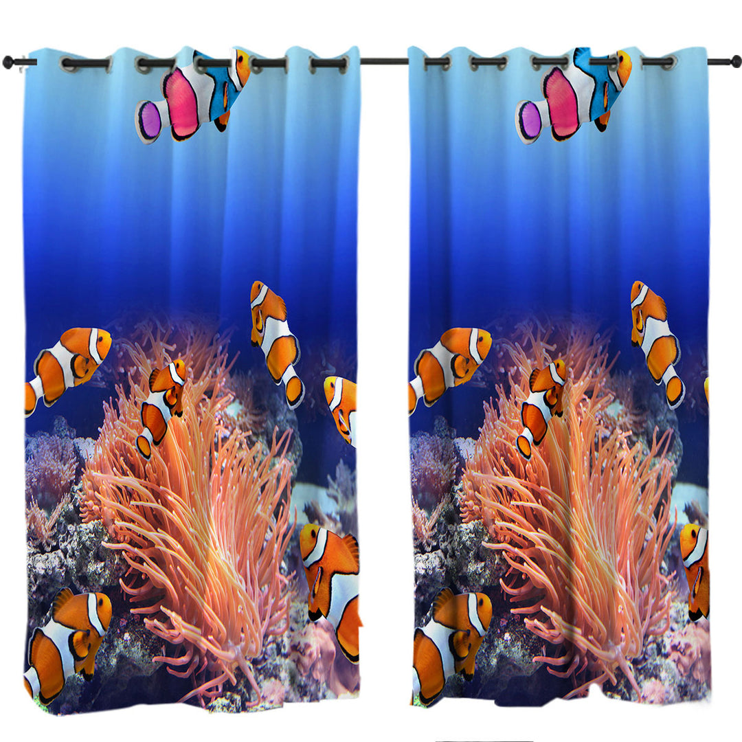 Clownfish Fish Curtain