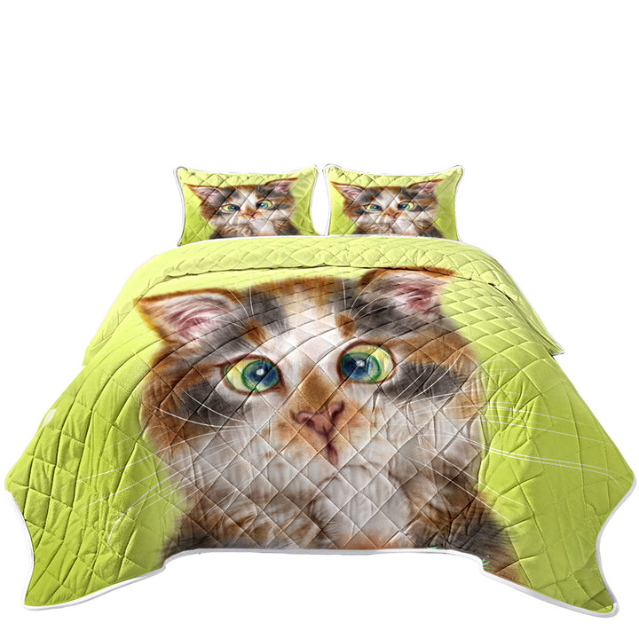 Coverlet with Cats Cute and Funny Faces Sweet Kitten