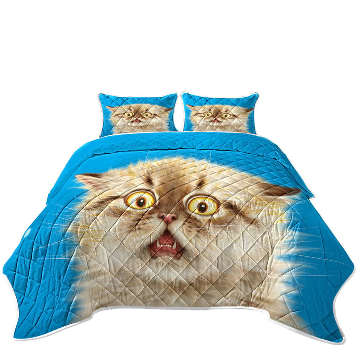 Coverlets with Cute Frightened Kitten Cat