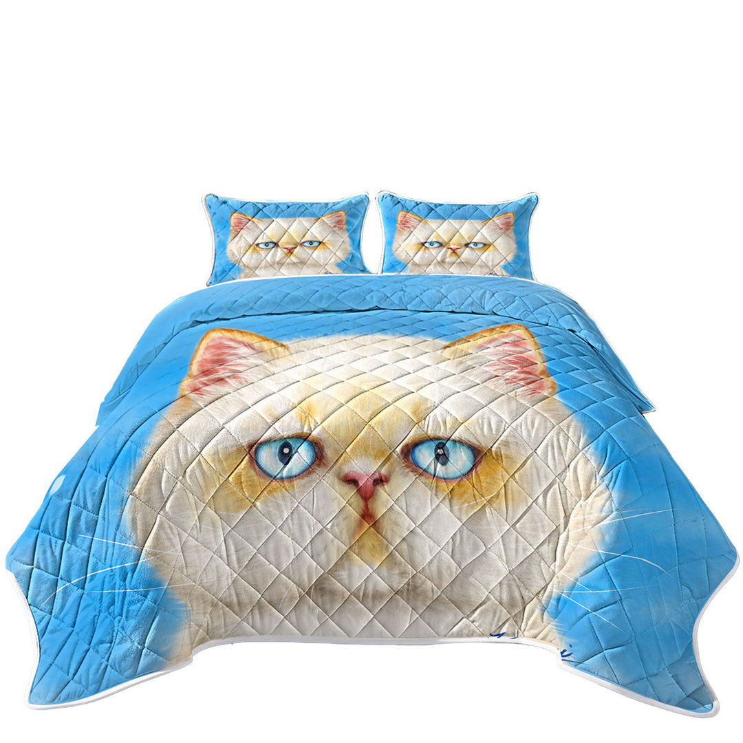 Coverlets with Cute White Ginger Serious Cat