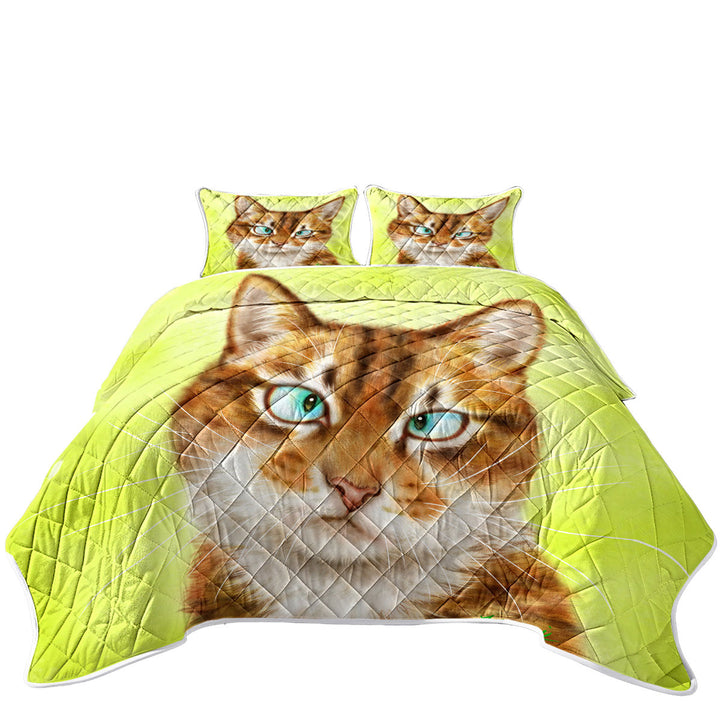 Coverlets with Funny Cat Drawings Upset Gingal Kitty