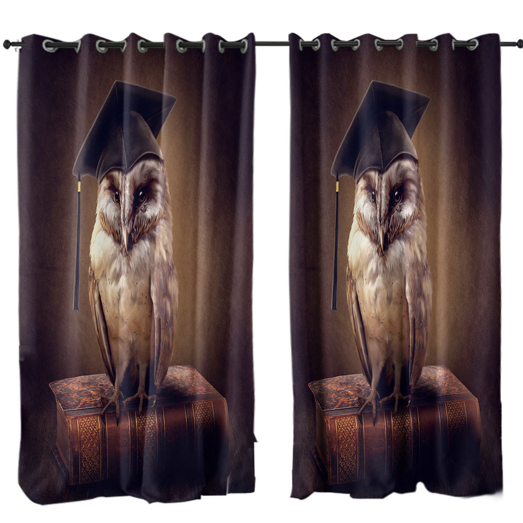 Curtain with Cool Graduated Owl
