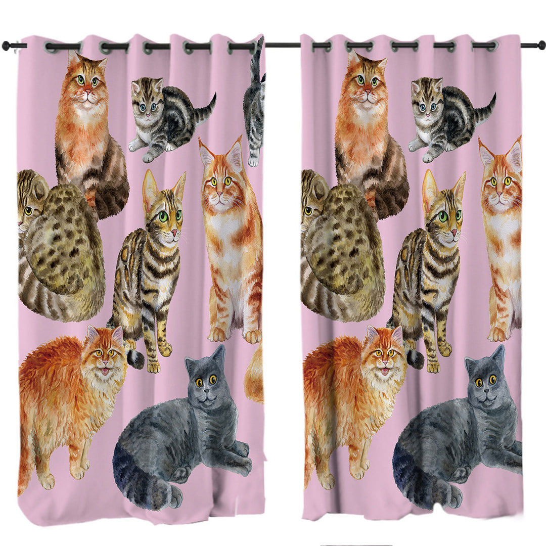 Curtains for Living Room with Painted Cats