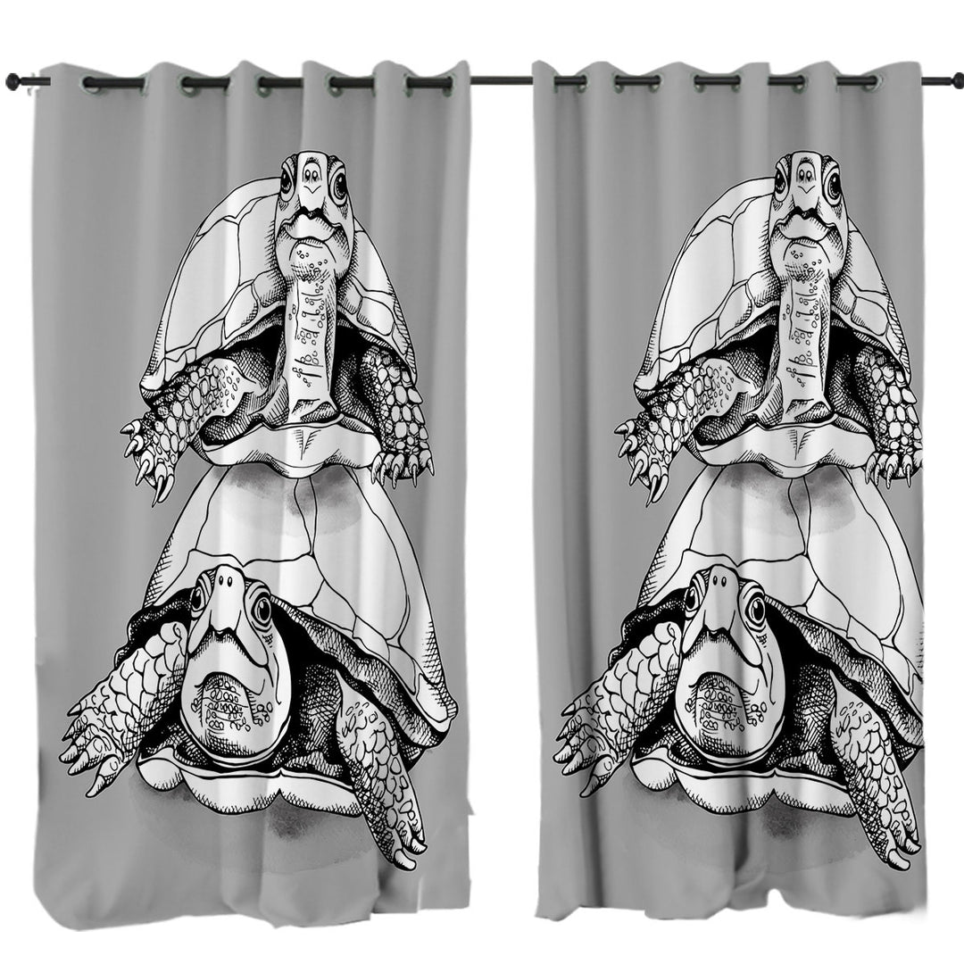 Curtains with Funny Looking Turtle Couple