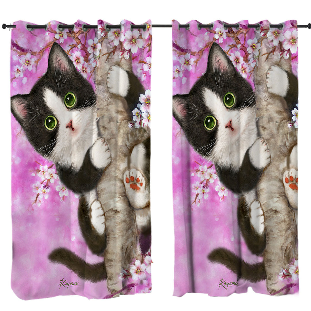 Cute Black and White Kitten Cat on Cherry Blossom Curtain