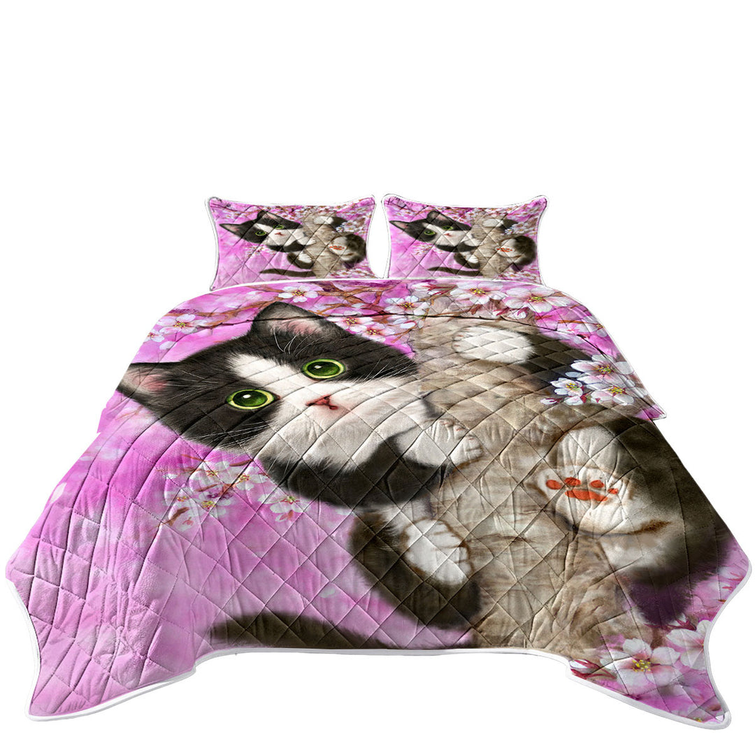 Cute Black and White Kitten Cat on Cherry Blossom Quilts