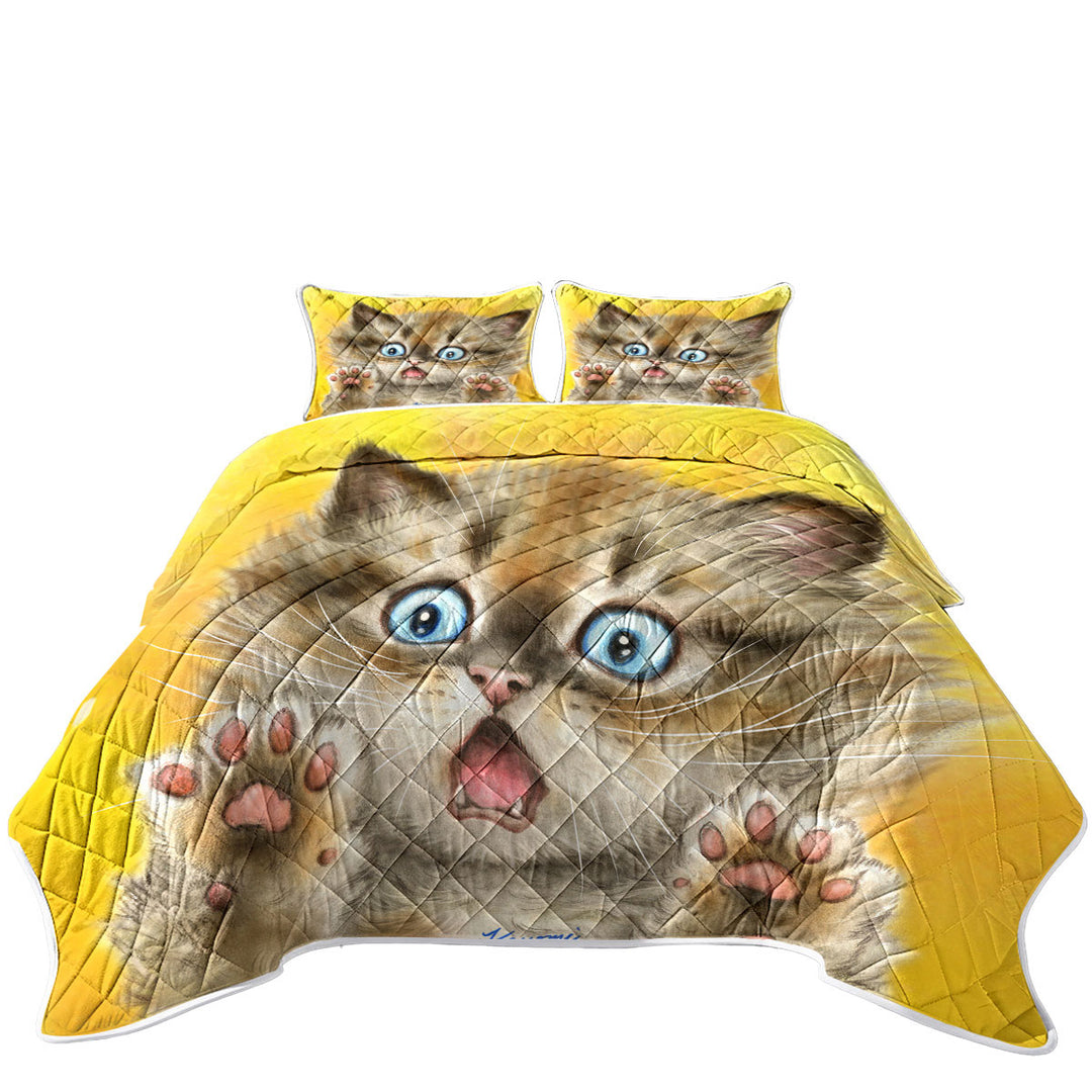 Cute Cats Terrified Baby Blue Eyes Kitten Quilt