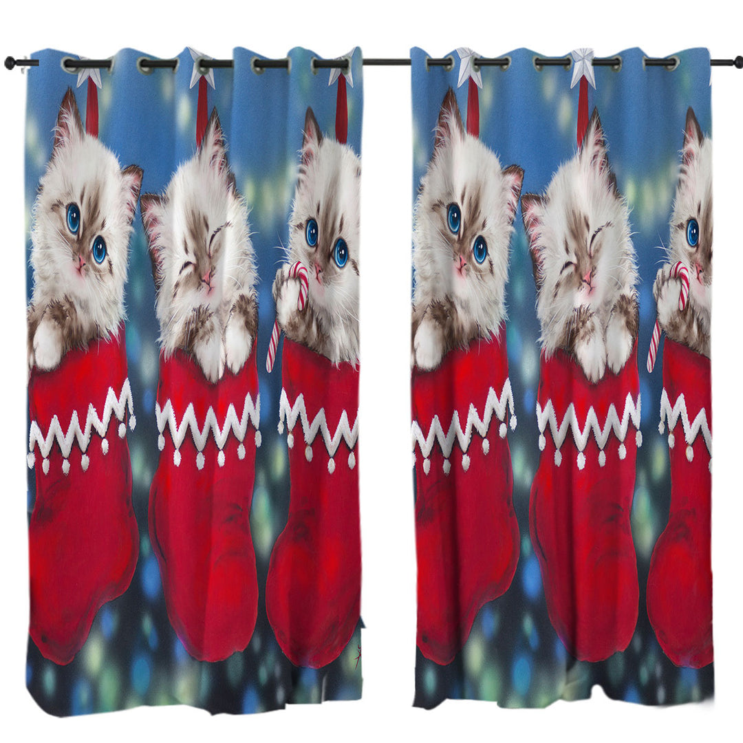 Cute Christmas Design Trio Kittens in Red Socks Curtains