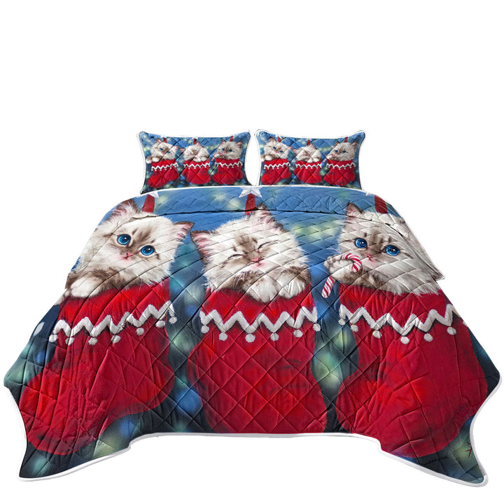 Cute Christmas Design Trio Kittens in Red Socks King Size Quilt