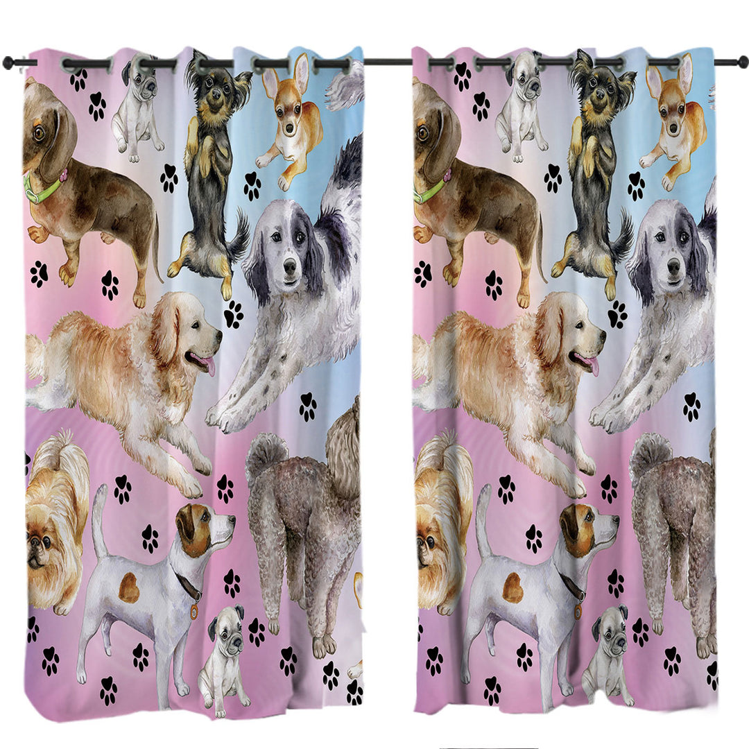 Cute Dogs Over Purplish Drapes and Curtains