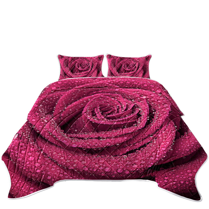 Dew Covered Rosy Rose King Size Quilt Sets