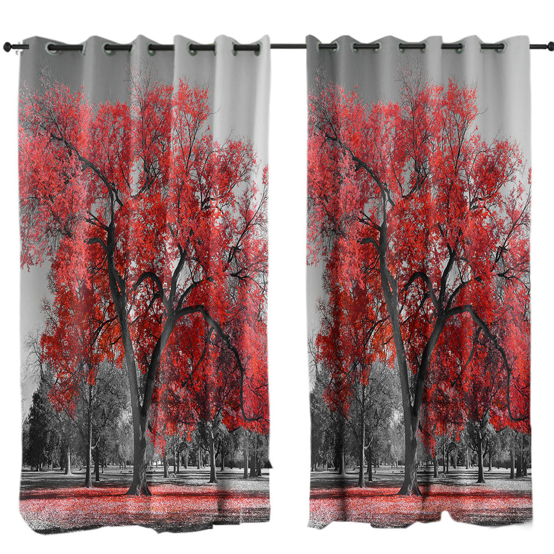 Drapery with Autumn Red Tree