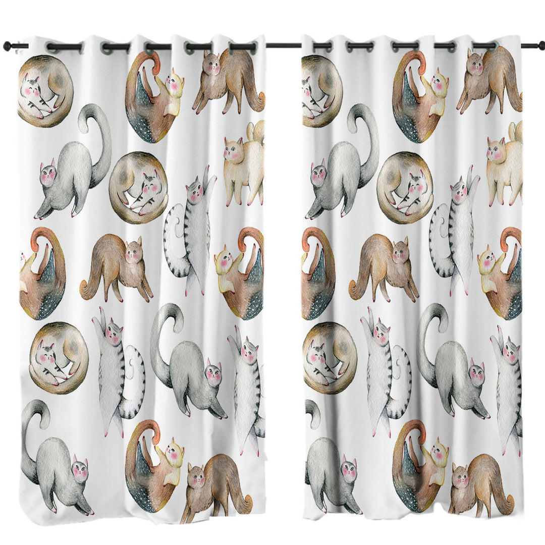 Drapes for Living Room with Adorable Poses Cute Cats