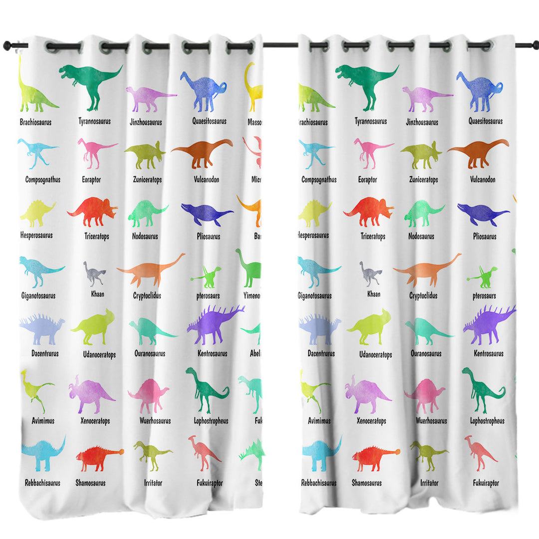 Drapes with Multi Colored Dinosaurs Drawings and Names