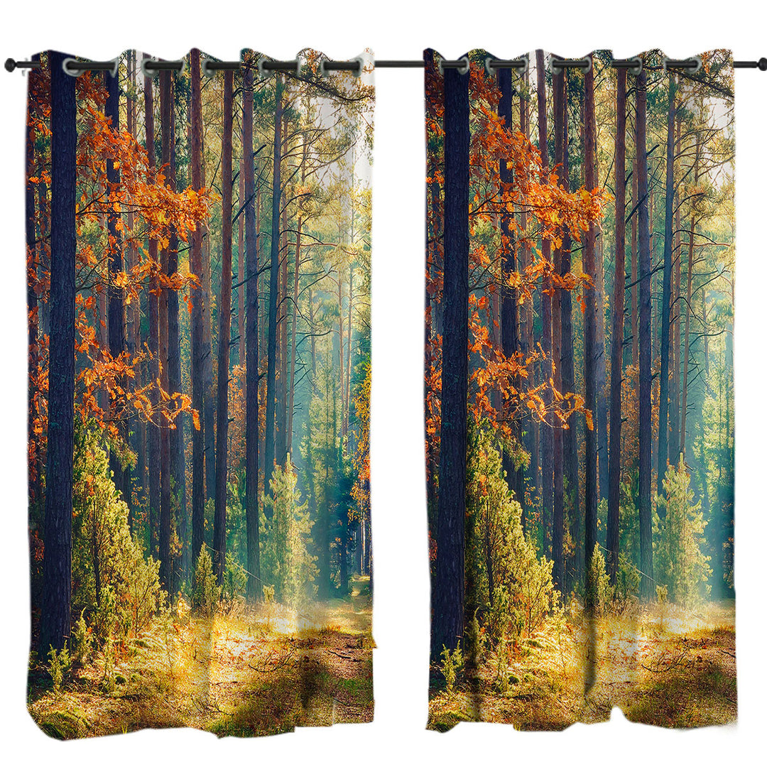 Early Autumn Forest Curtains